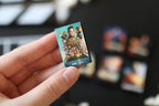 Mini Magnet Survivor DVDs