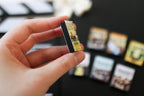 Mini Magnet Sitcom DVDs