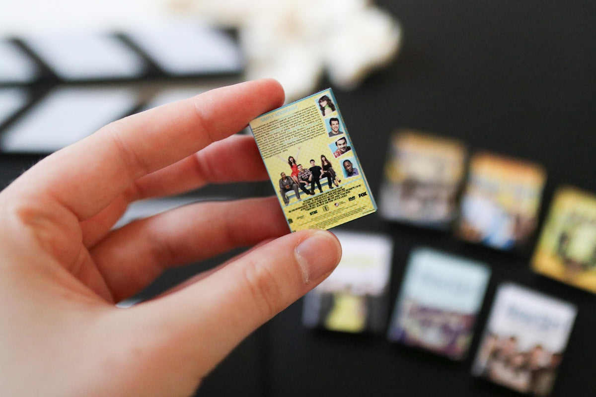 Mini Magnet Sitcom DVDs