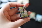 Mini TSITP DVDs