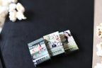 Mini TSITP DVDs