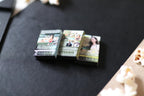 Mini Magnet TSITP DVDs