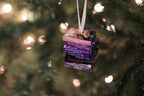DWTS DVD Ornament