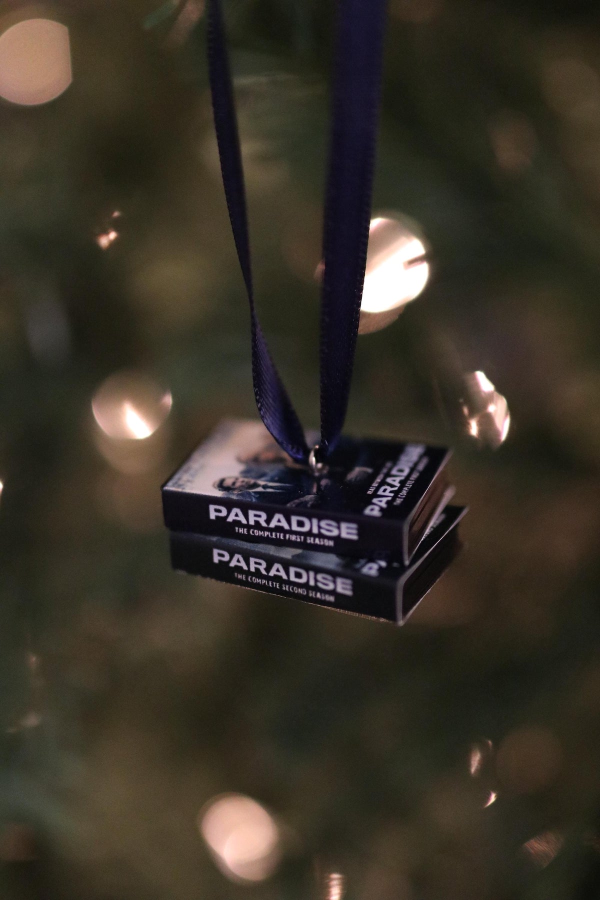 Paradise DVD Ornament