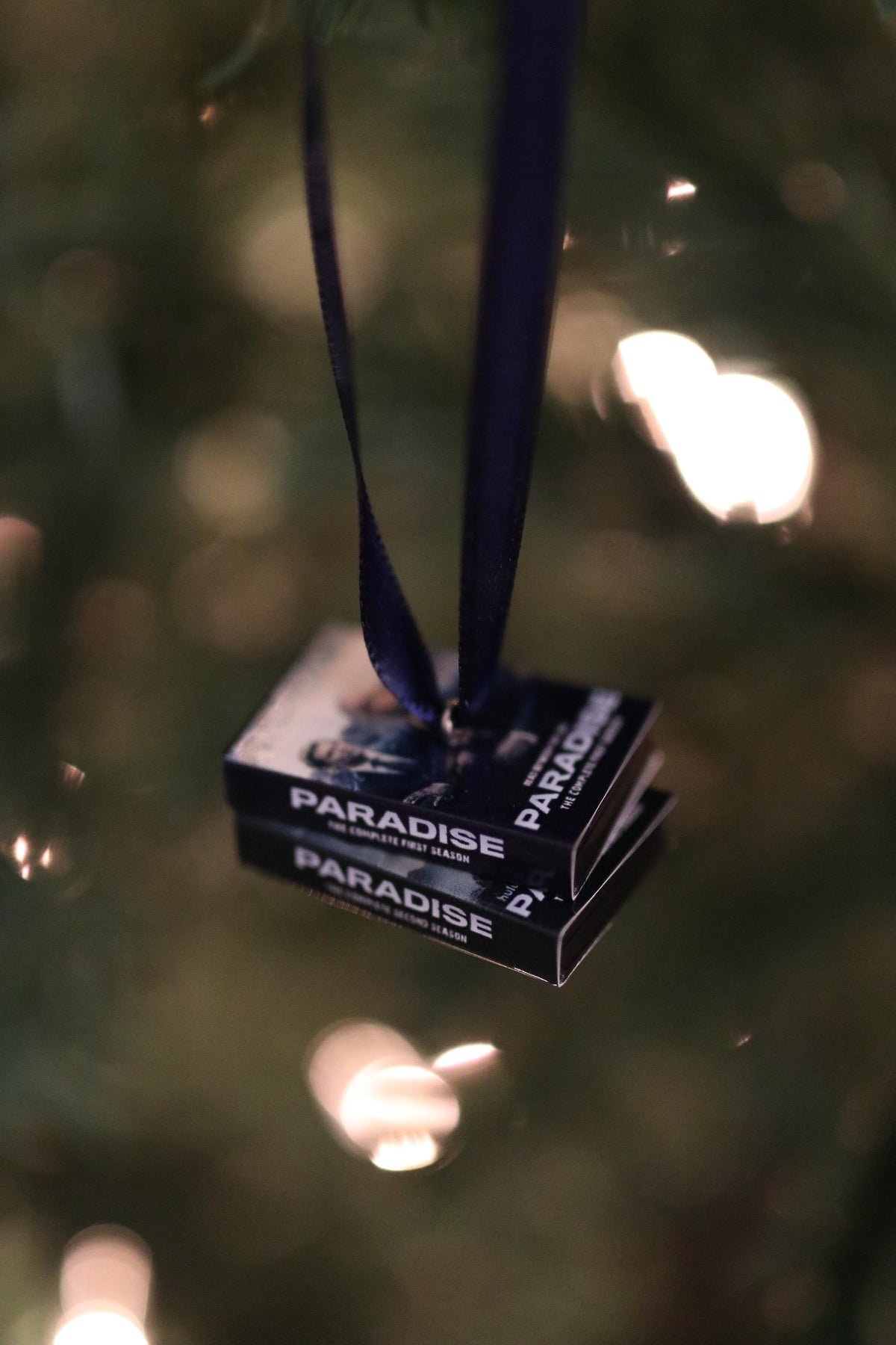 Paradise DVD Ornament