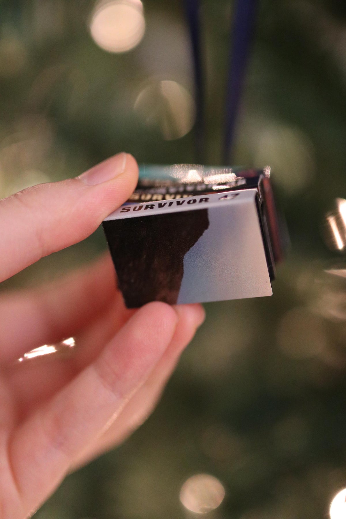 Survivor DVD Ornament